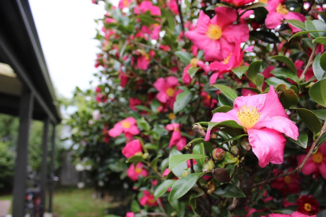 Bram'S Bach Villa เทาโป ภายนอก รูปภาพ